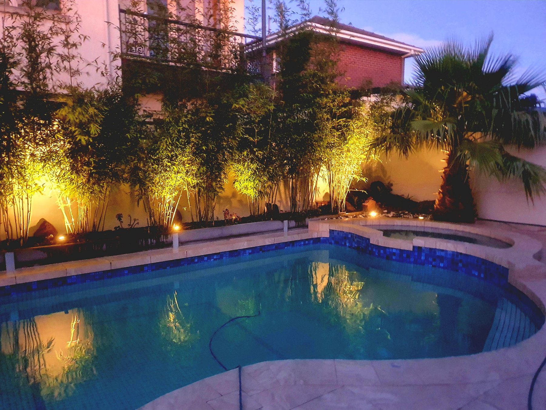 Uplit bamboo and palm around a curved pool and spa at dusk