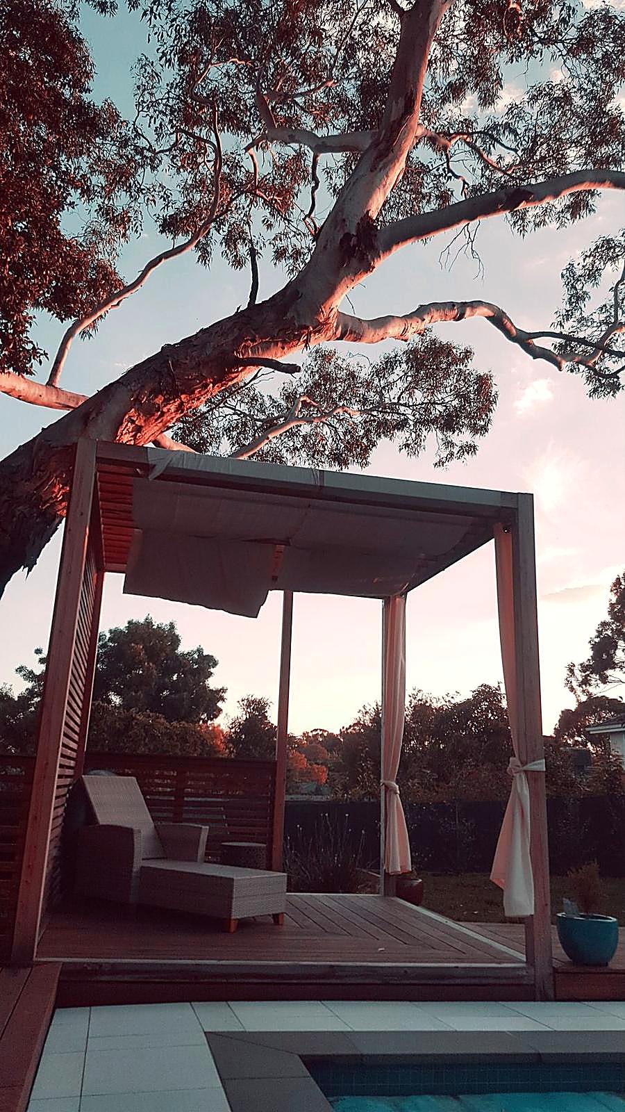 Timber cabana with curtains under a gum tree at sunset