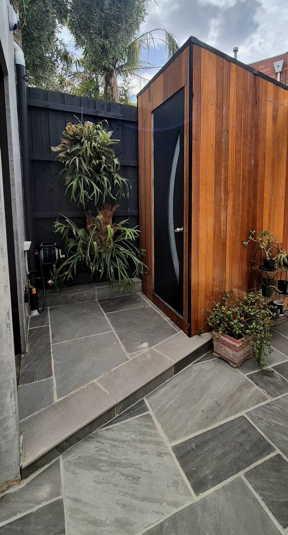 Stone step and paving beside the cedar shed and staghorn ferns