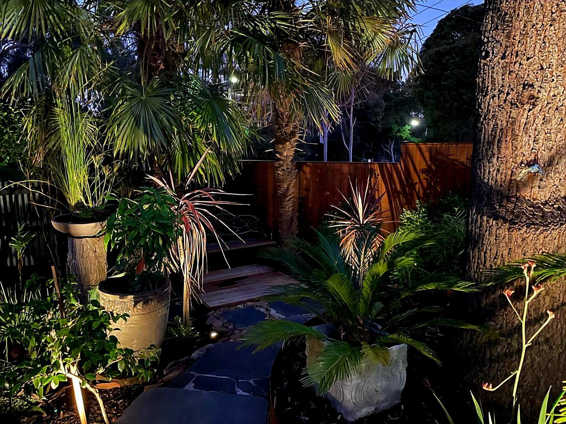 Stone stepping path and timber bridge under lit palms at night