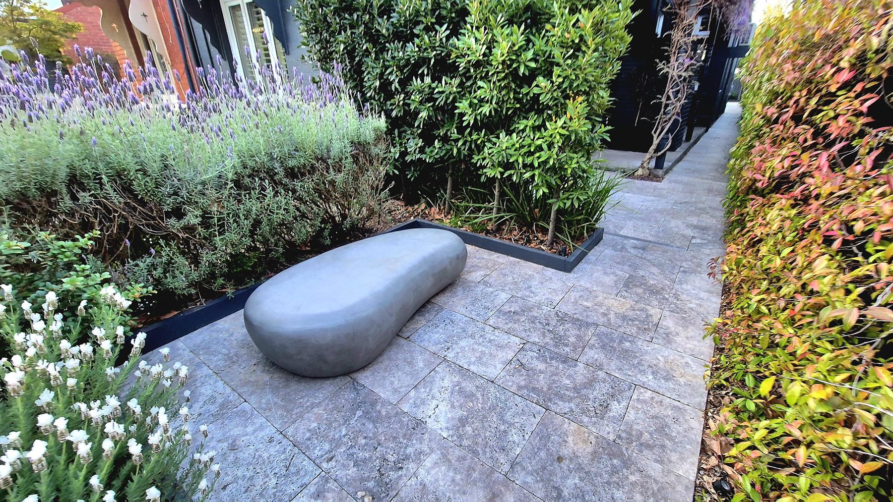 Sculptural stone bench on travertine paving between lavender and lilly pilly hedging