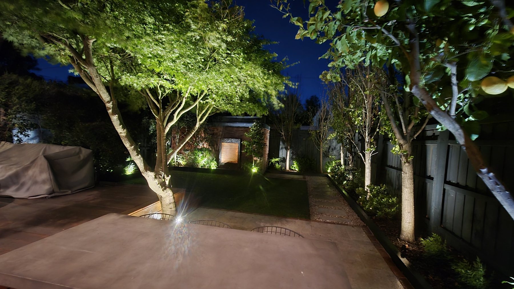 Rear garden lit at night, with uplit maple, lemon tree and fence-line trees