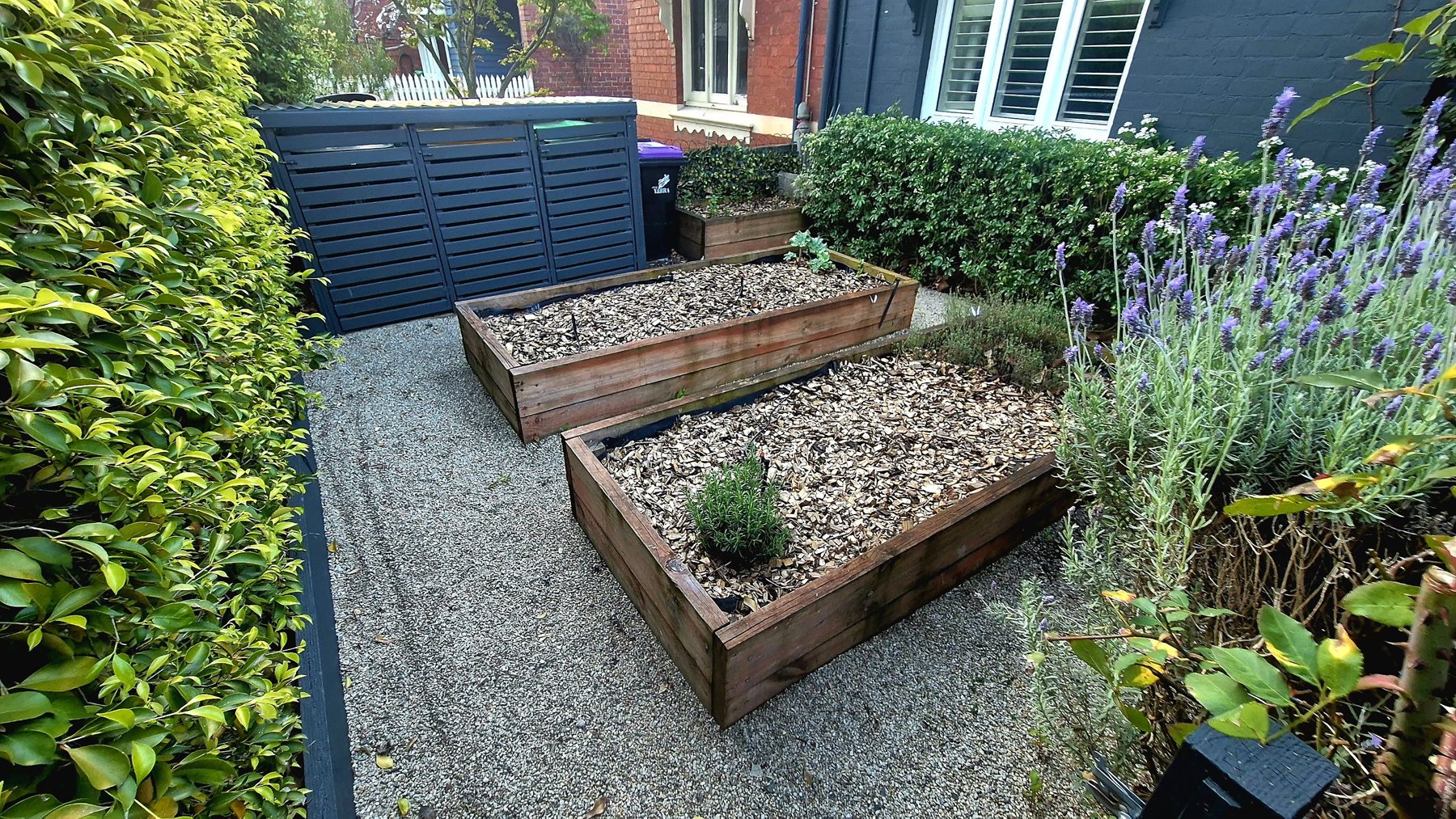 Hardwood raised veggie beds on gravel beside a slatted bin enclosure