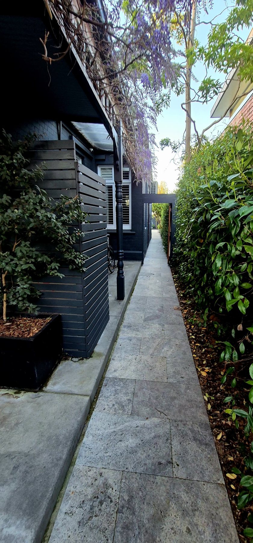 Travertine side path under wisteria beside a slatted screen