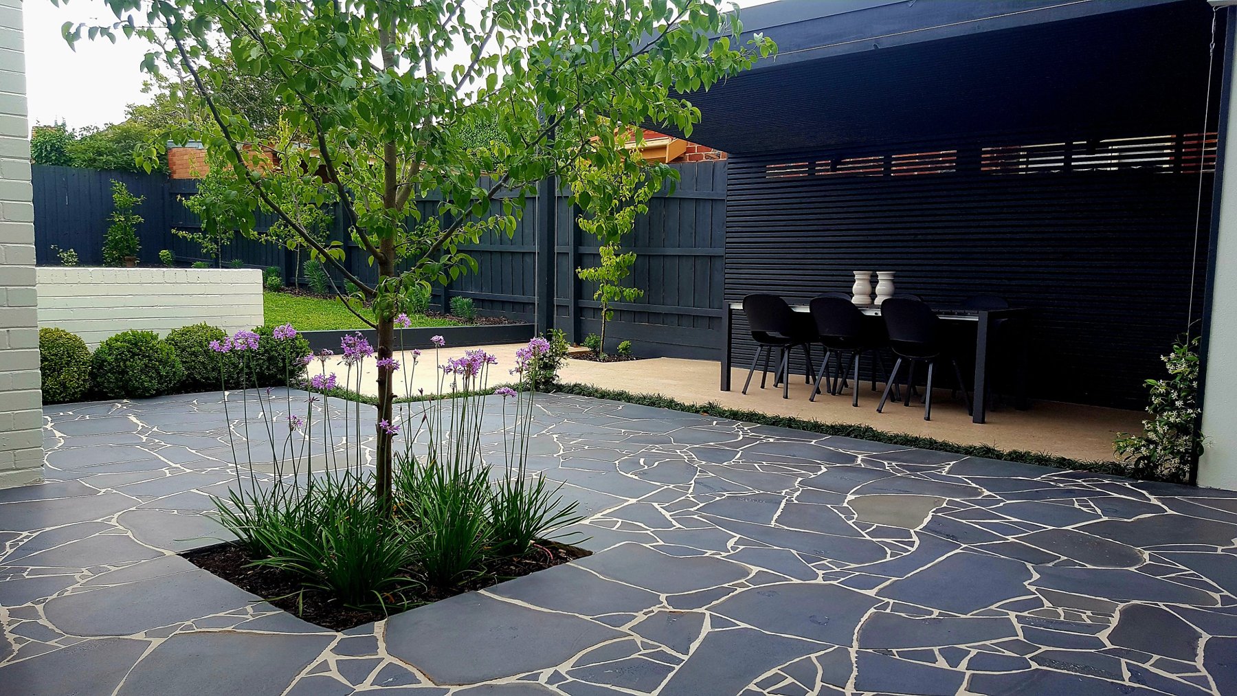 Crazy paving courtyard with a feature tree, lily planting and the dining pavilion