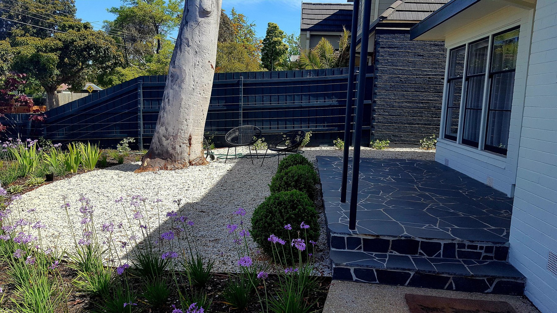 Front garden with a gum tree, white pebble, buxus and a crazy paving porch